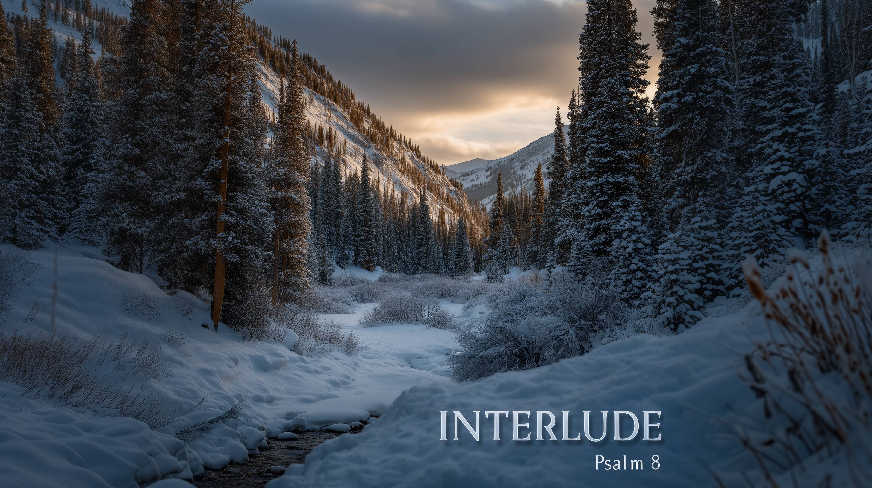Psalm 8 Interlude album art