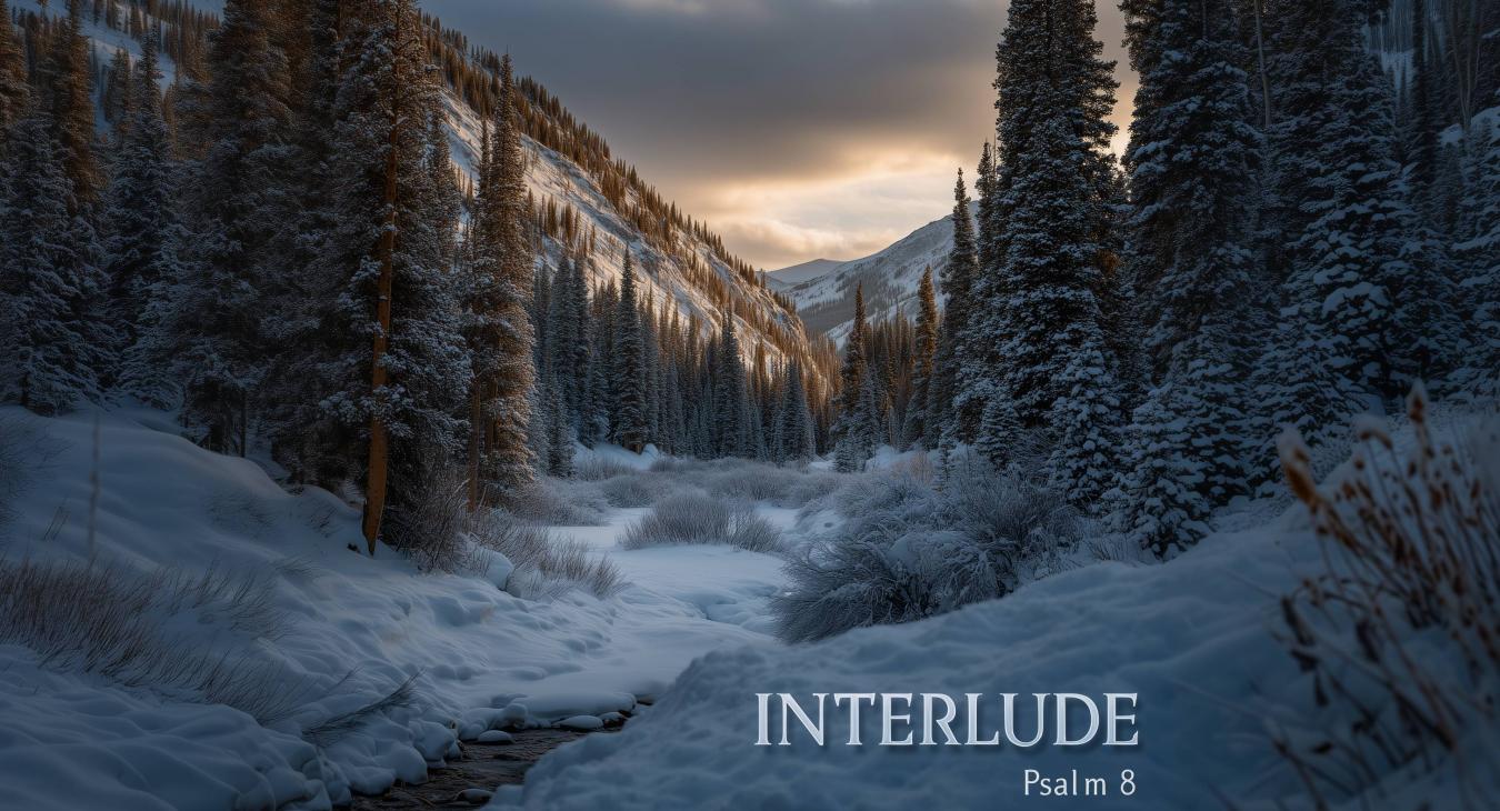 Psalm 8 Interlude album art