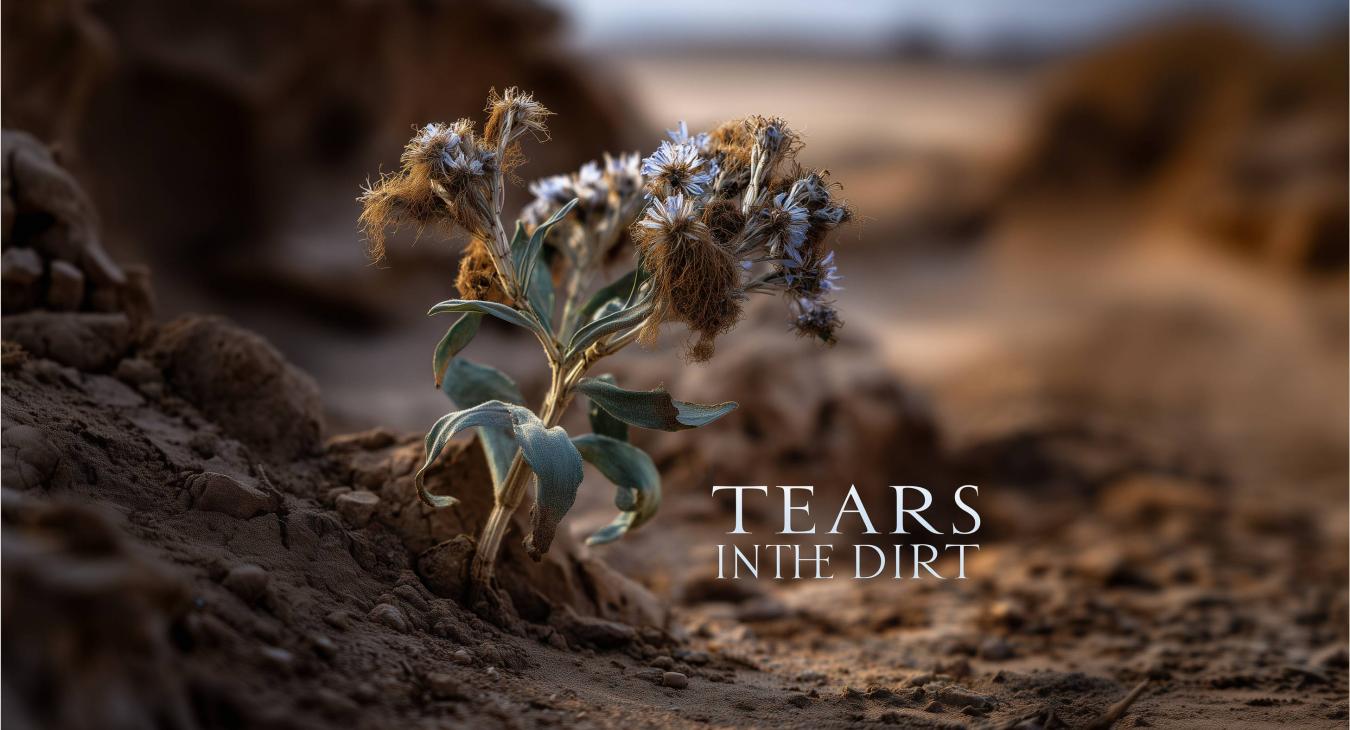 Tears in the dirt